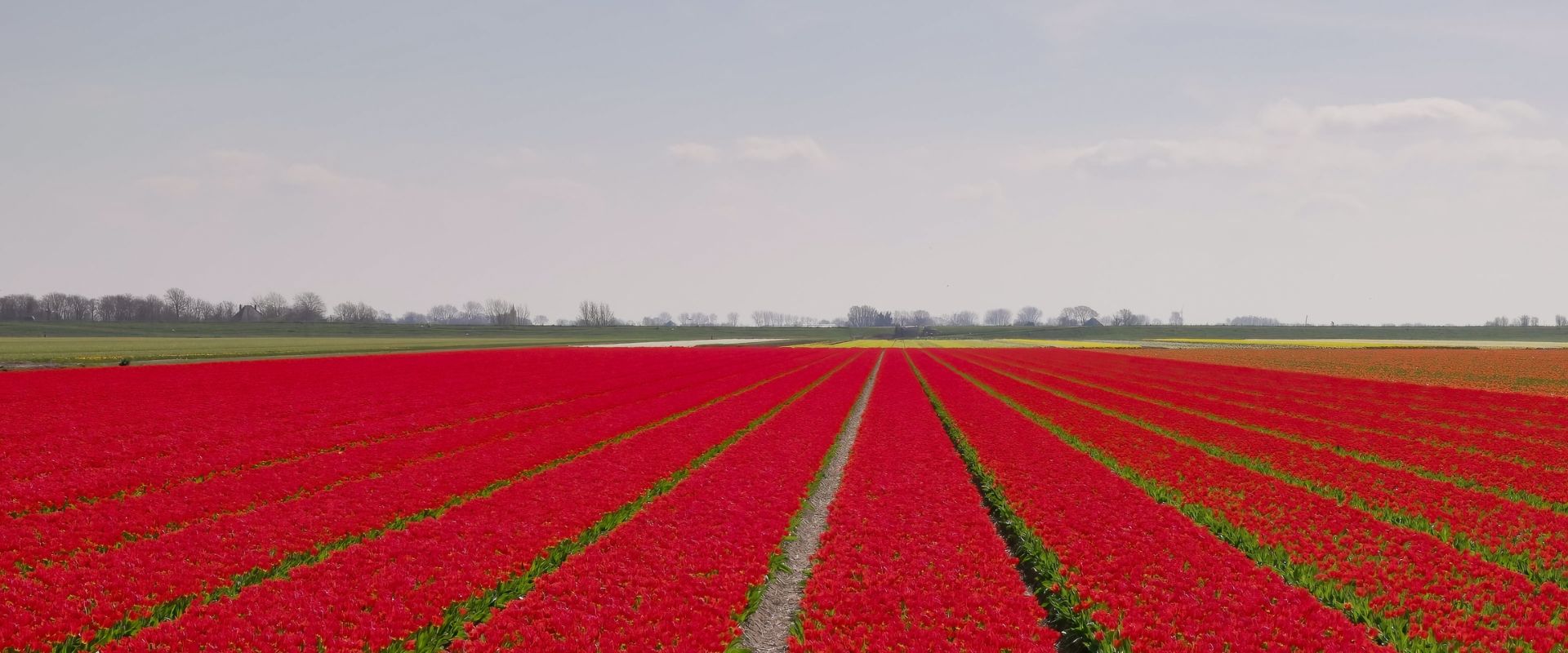 Schagen