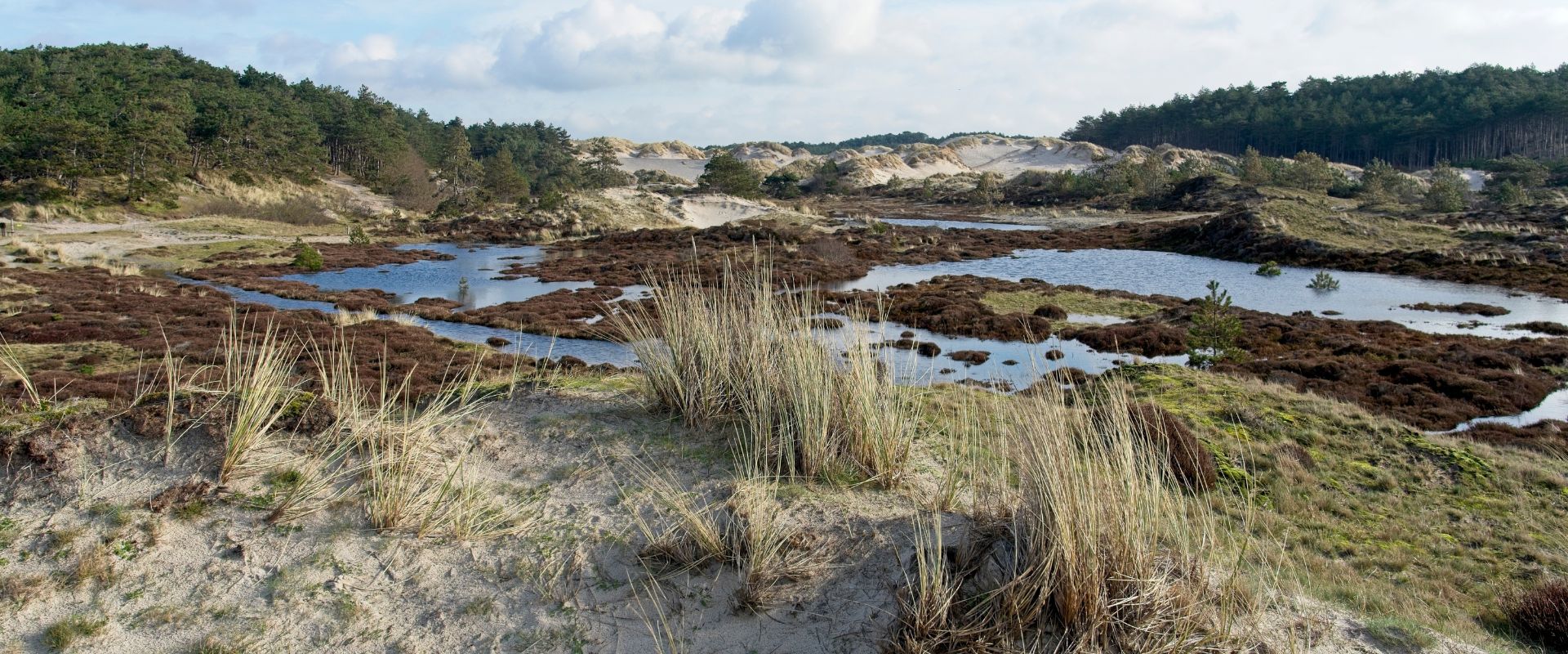 Schoorl