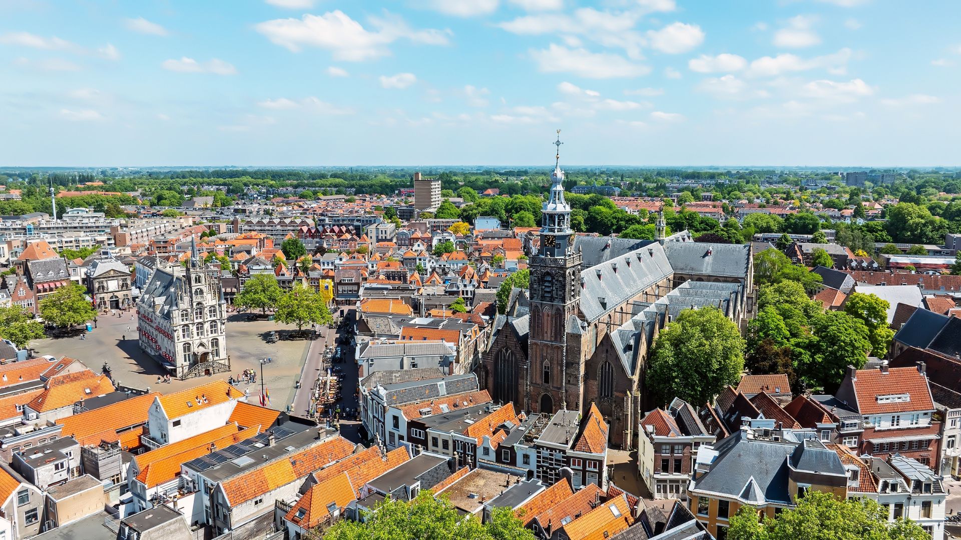 Gouda