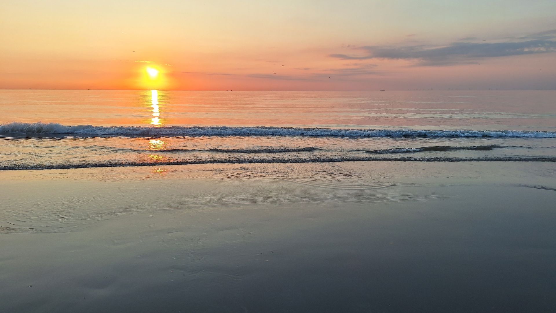 Hoek van Holland
