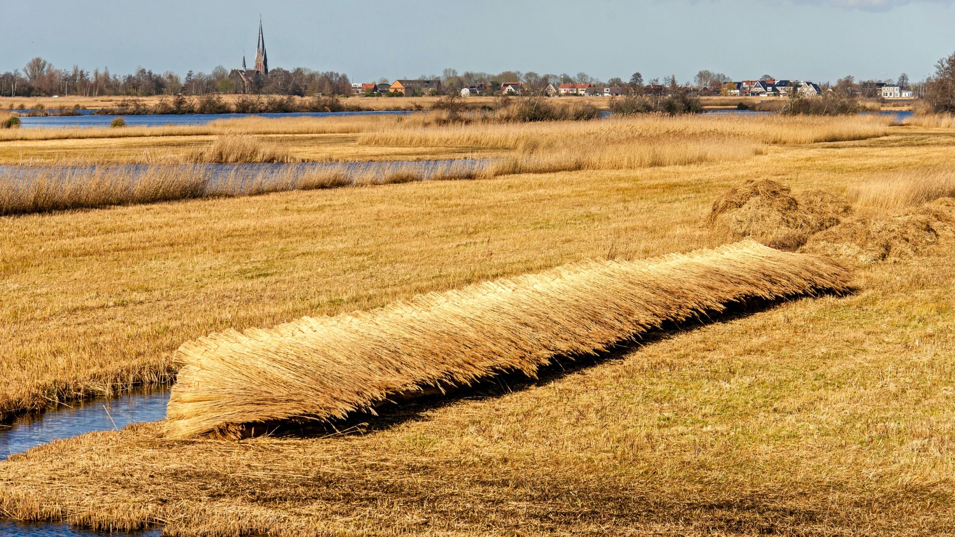 Nieuwkoop