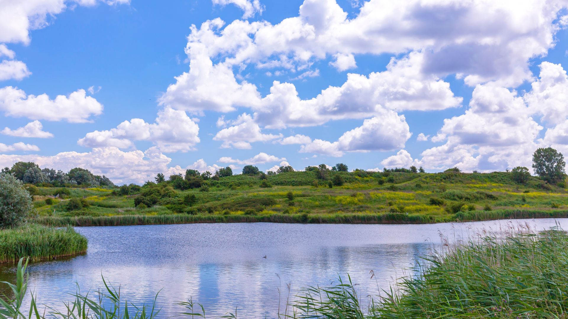 Zoetermeer
