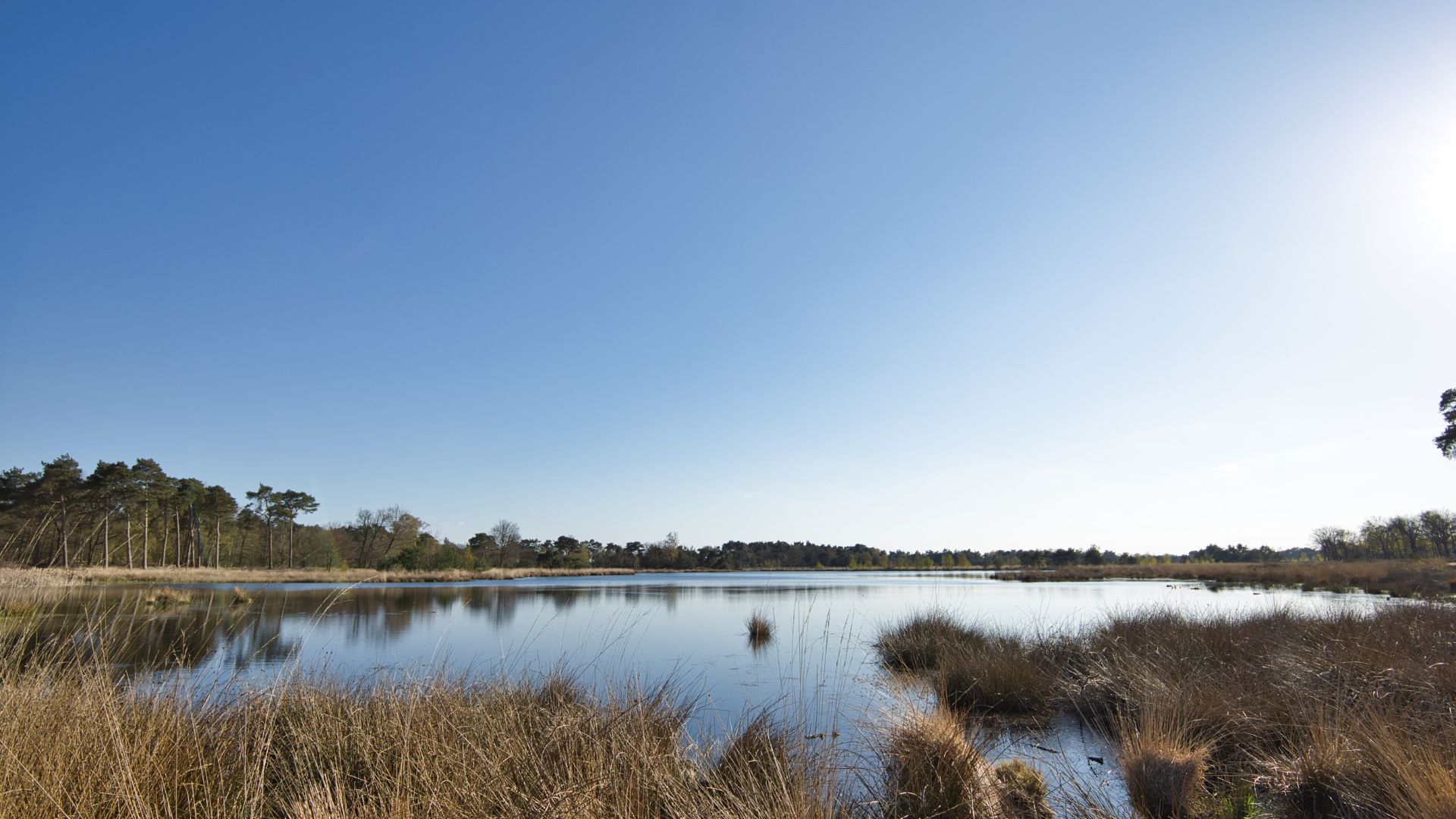 Boxtel