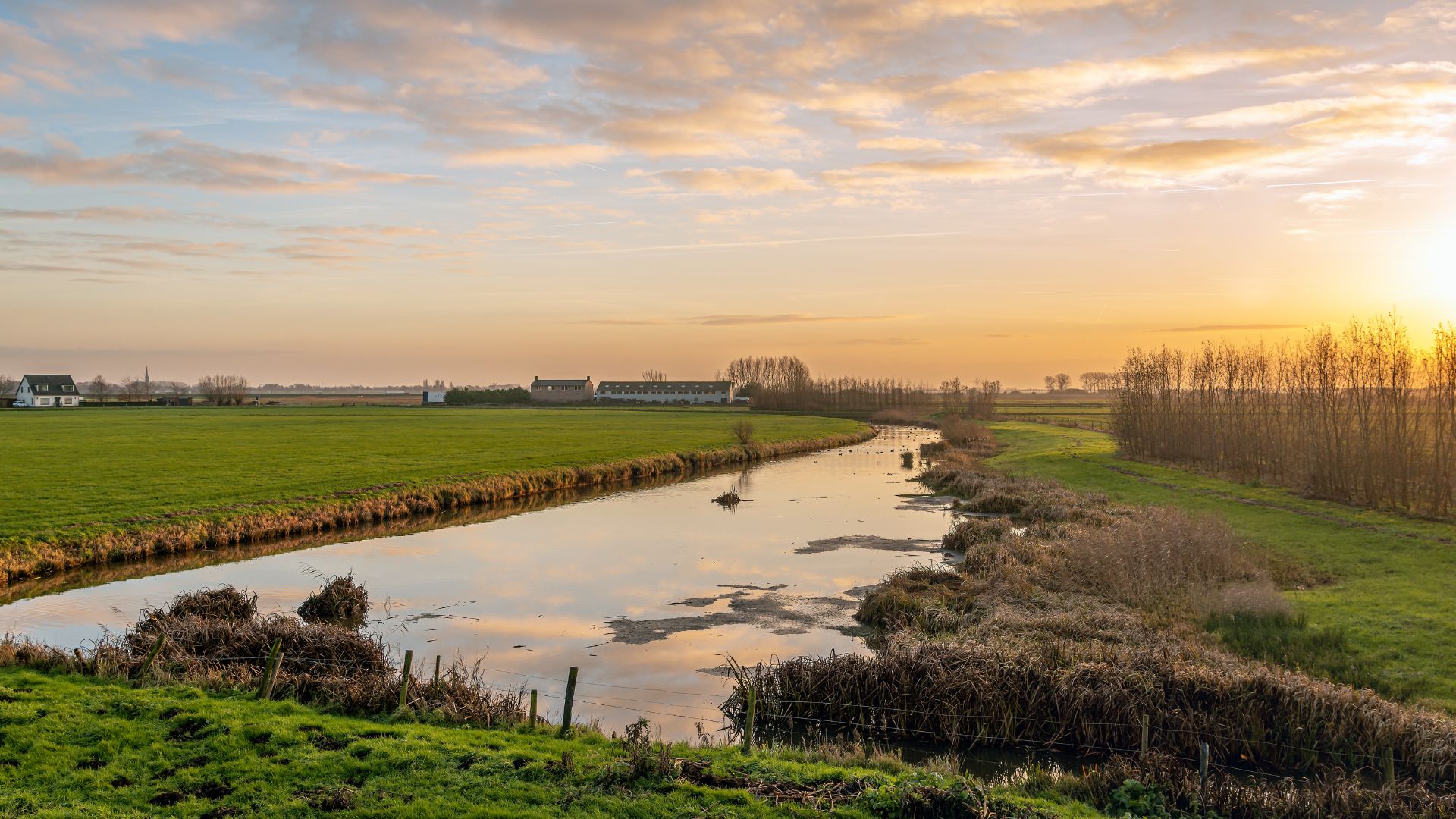 Drimmelen