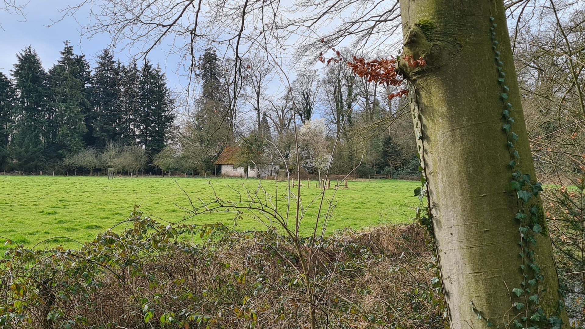 Sint-Michielsgestel