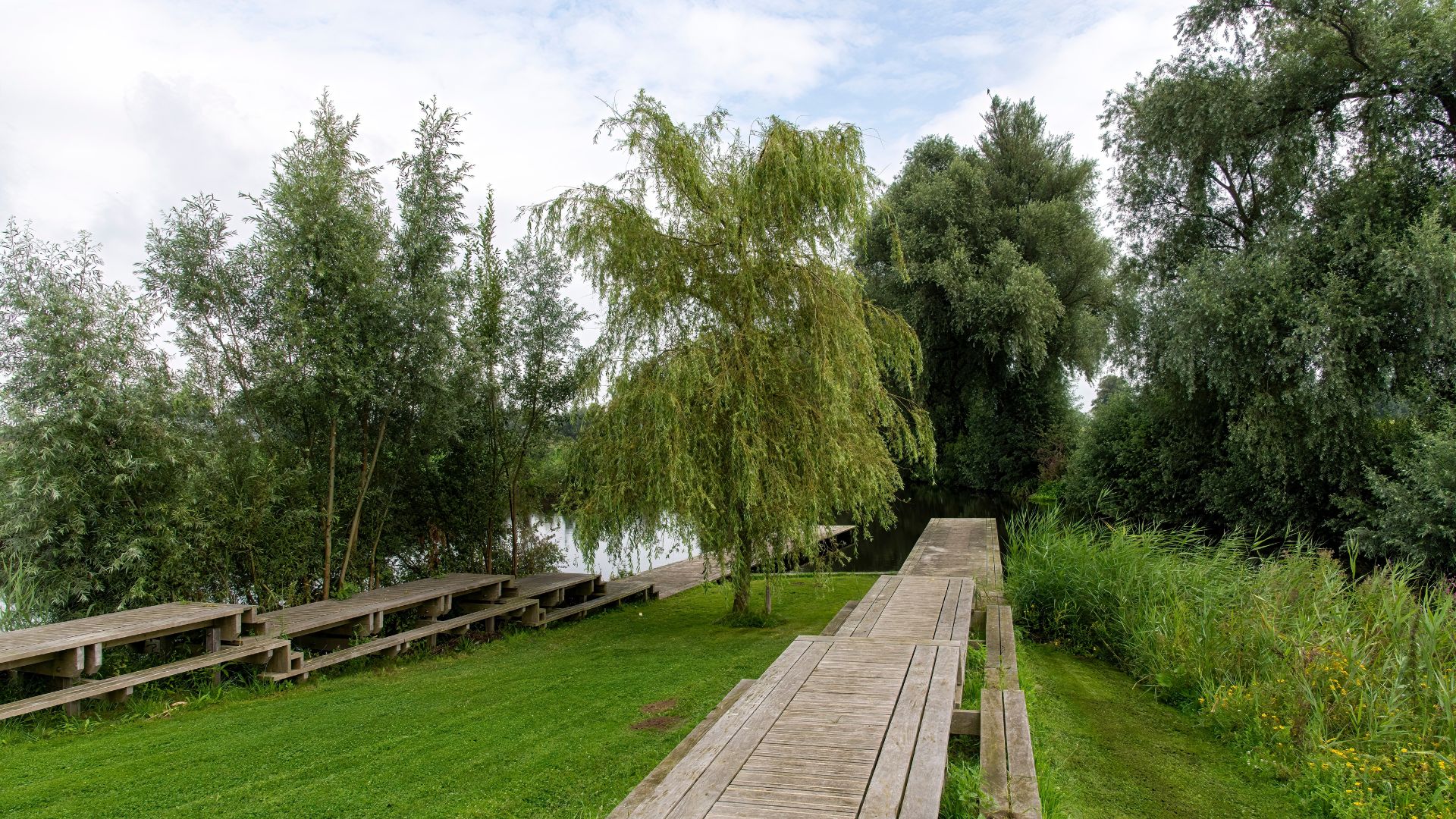 Steenbergen