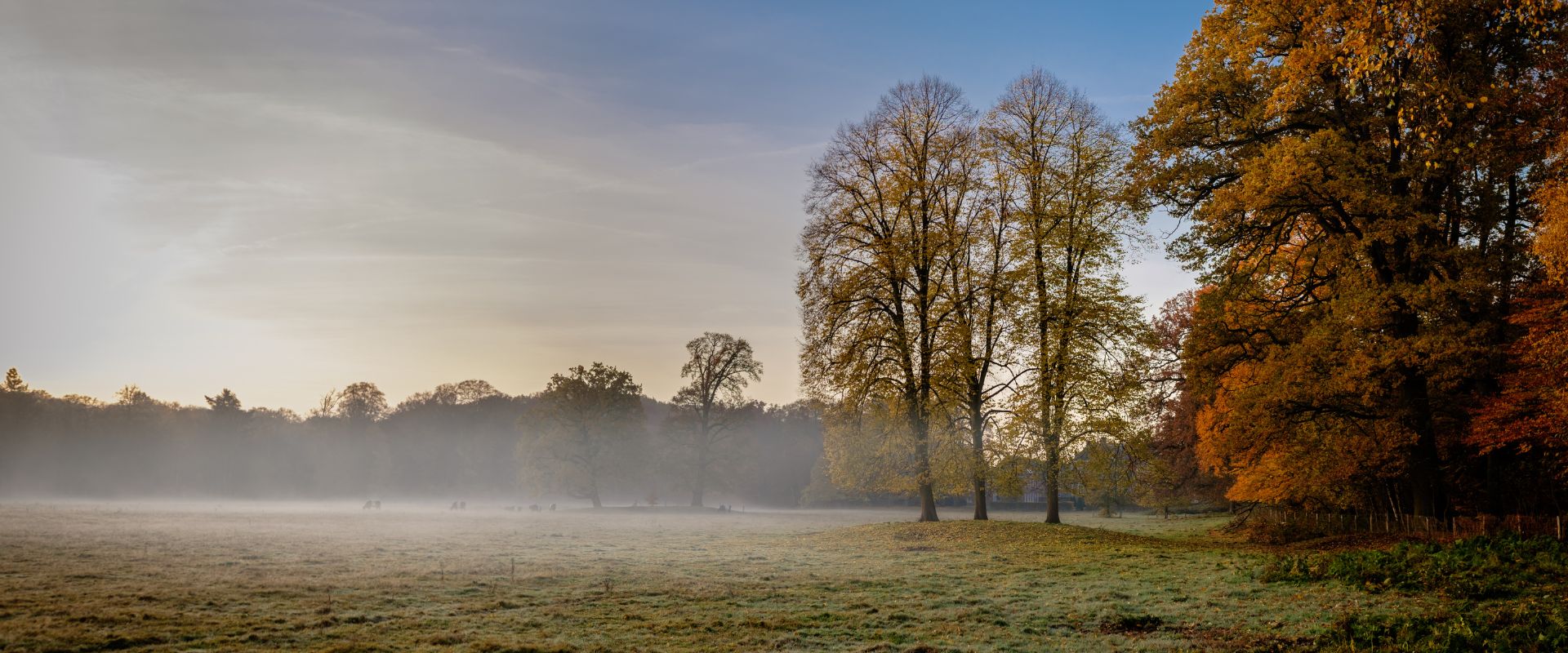Bilthoven
