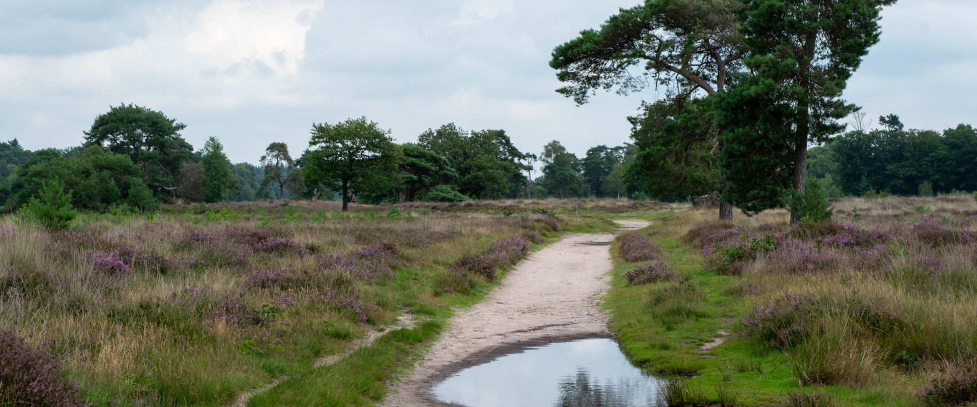 Maarsbergen