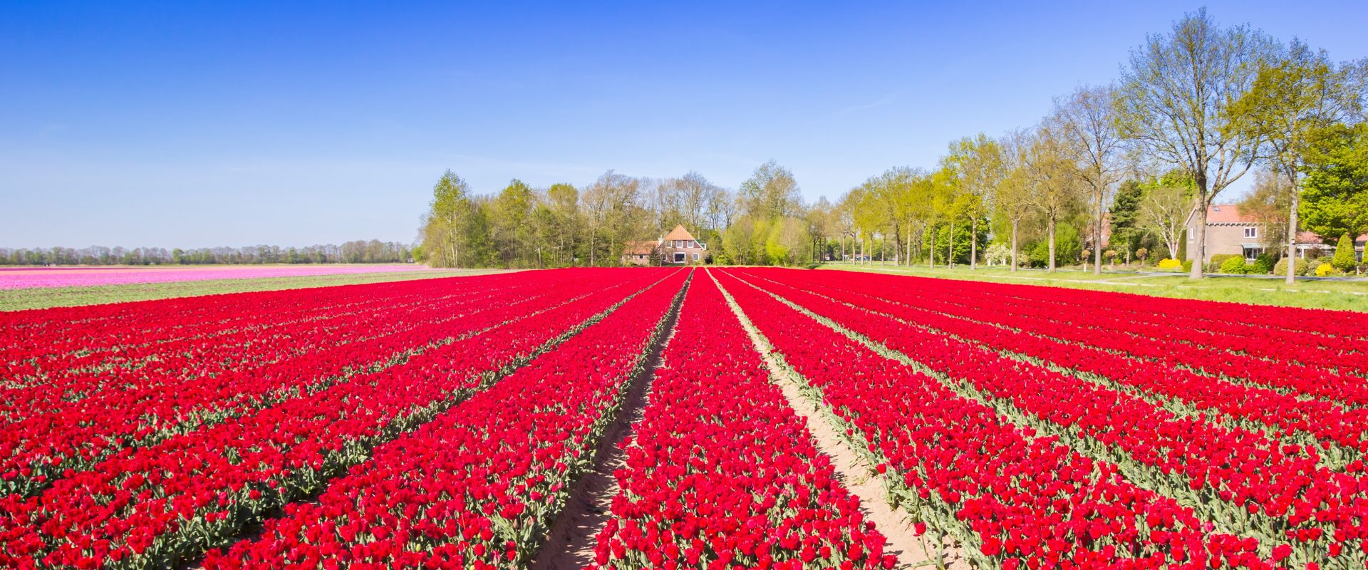 Noordoostpolder