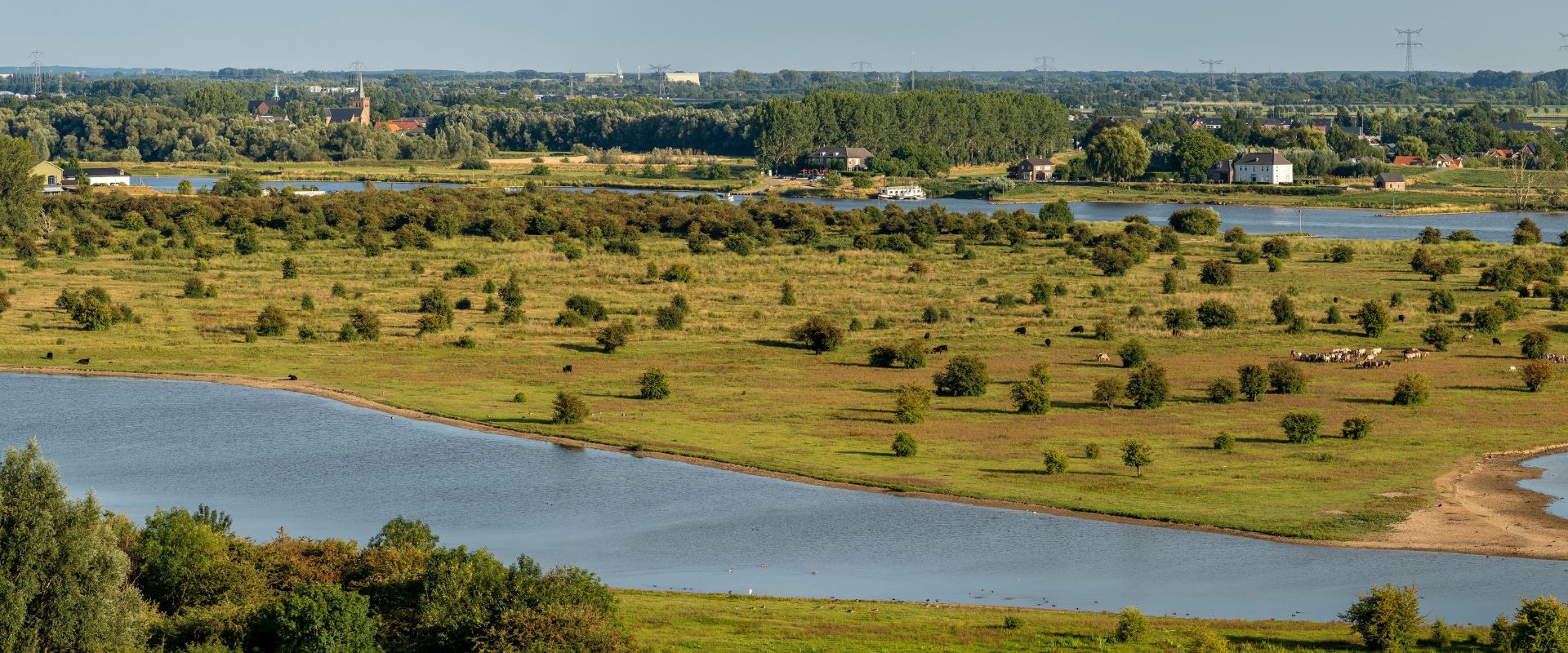 Rhenen
