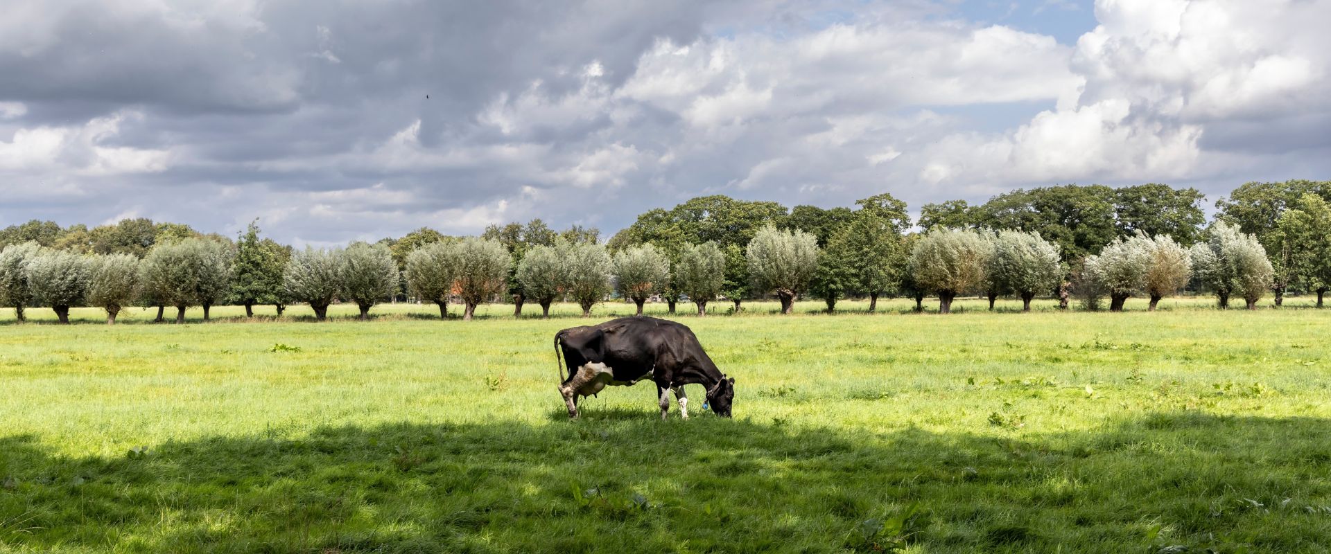 Woudenberg