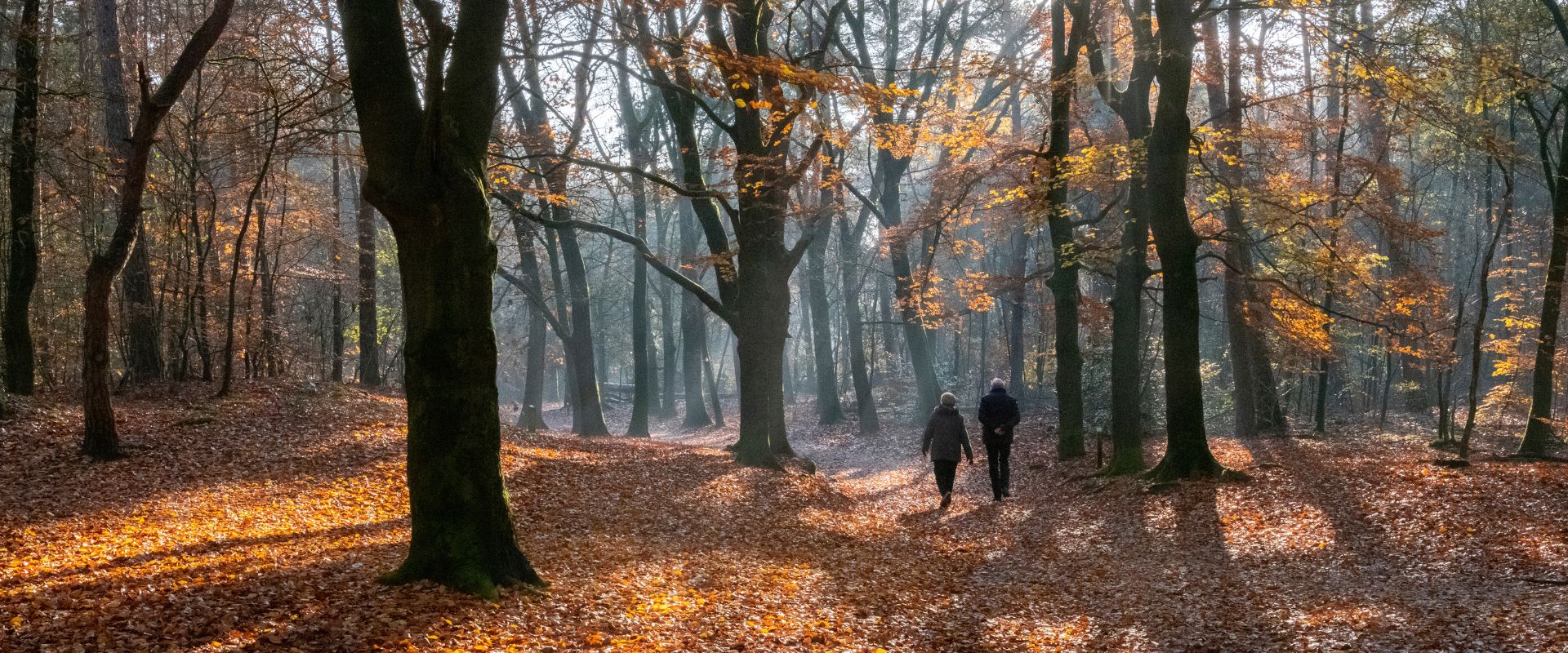 Zeist