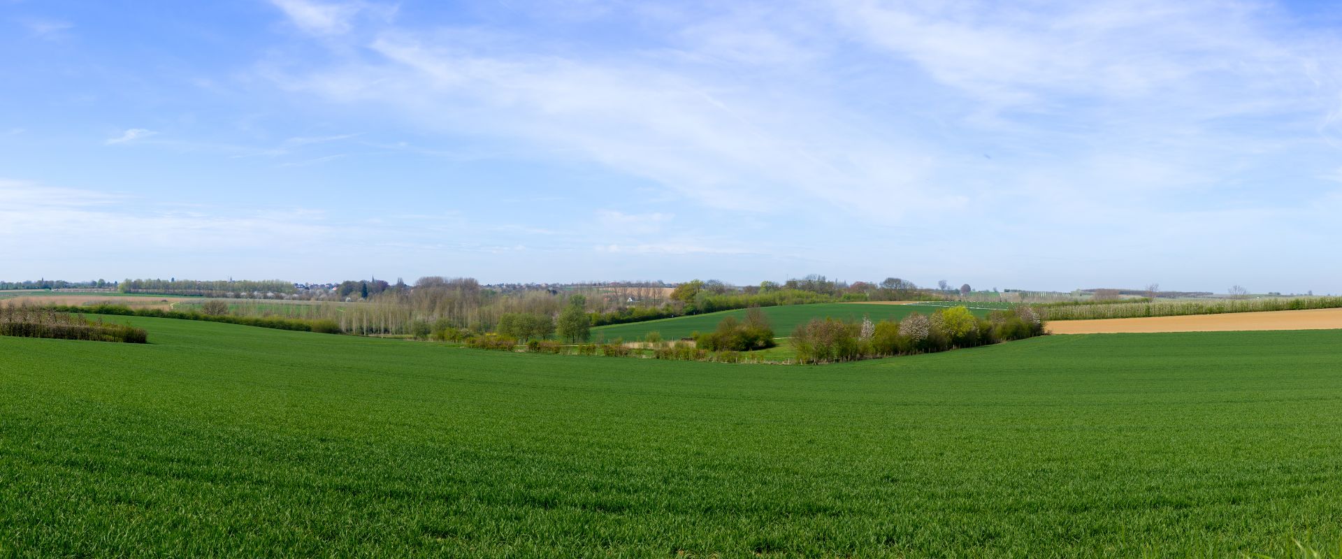 Borgloon