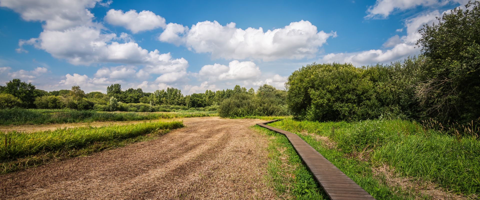 Zandhoven