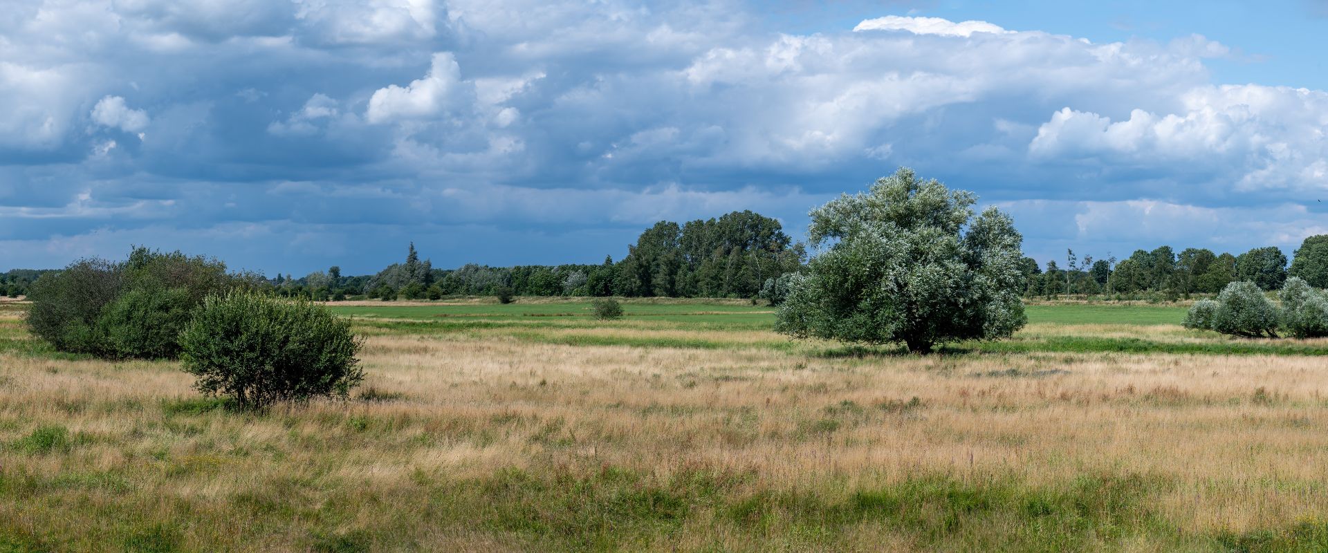 Diest