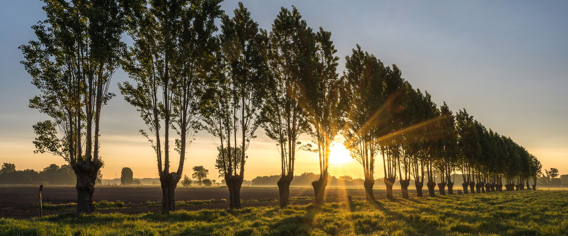 Evergem