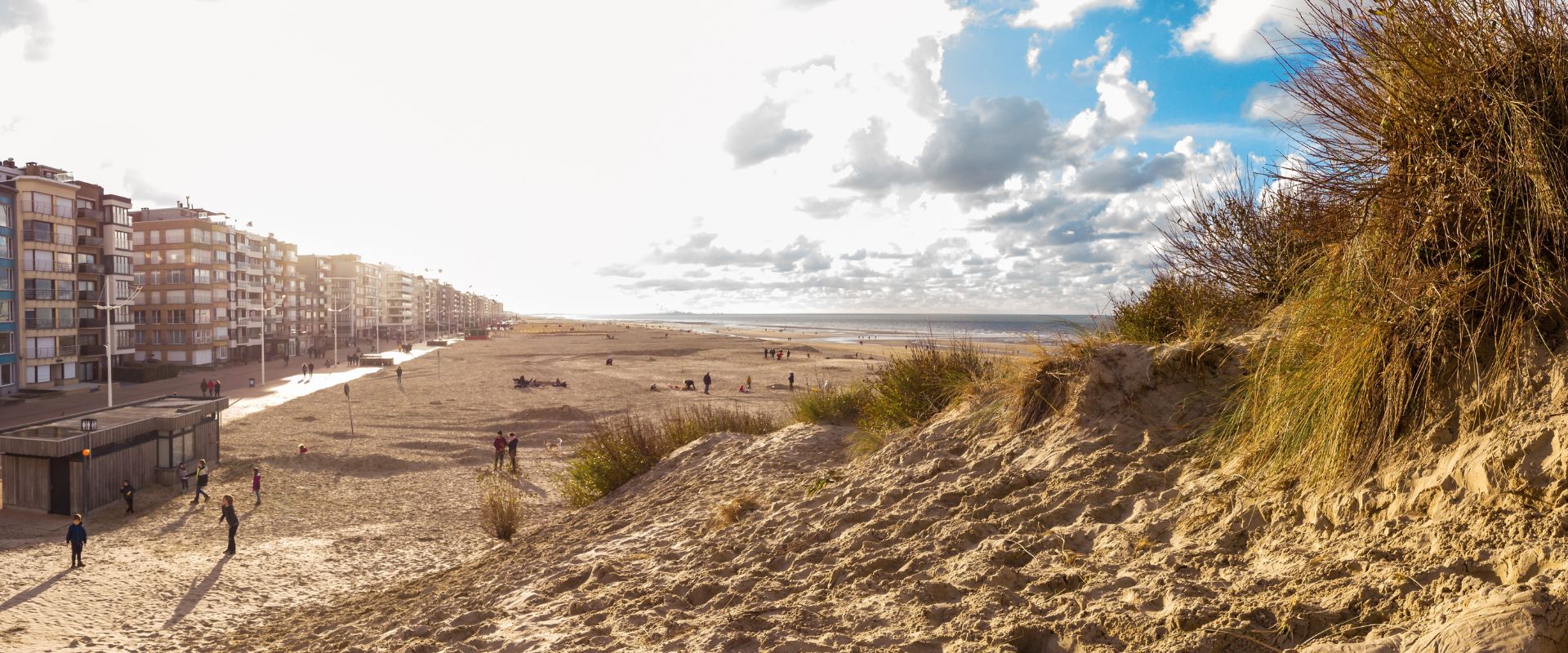 Coxyde