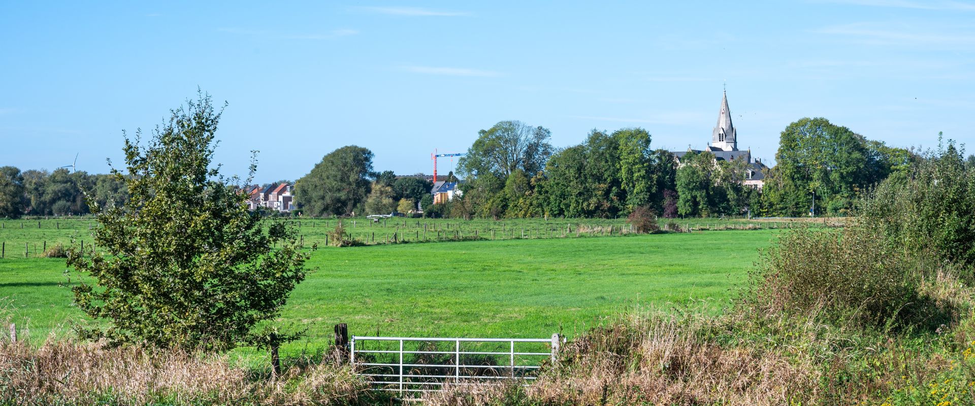 Liedekerke