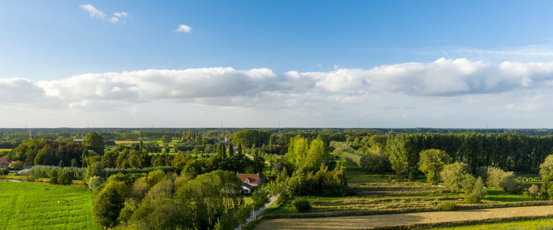 Lokeren
