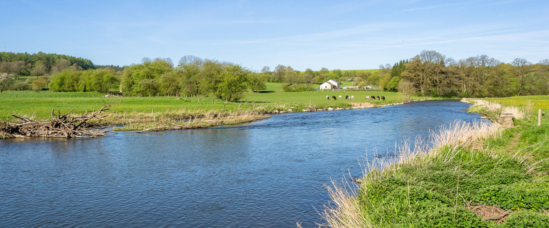 Florenville