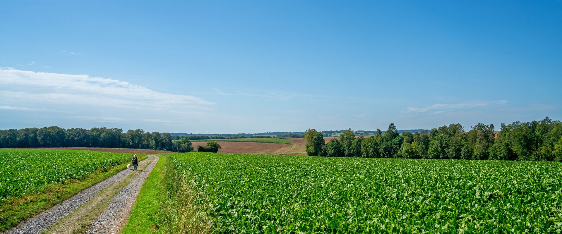 Hastière
