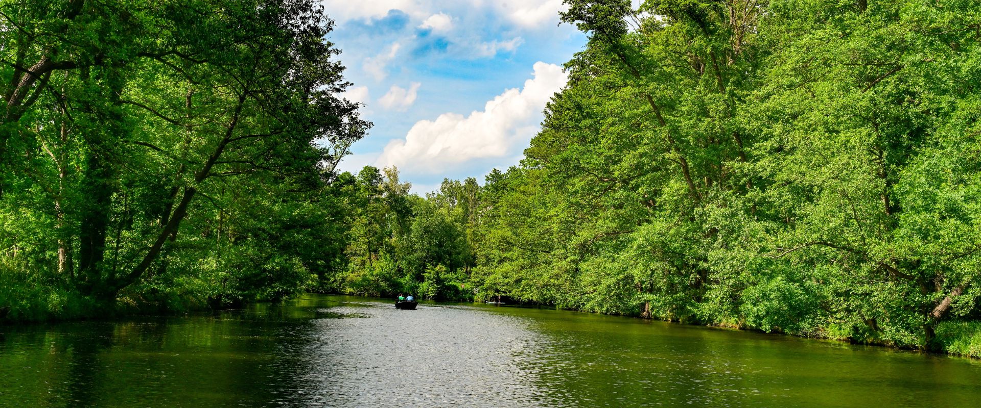Spreewald