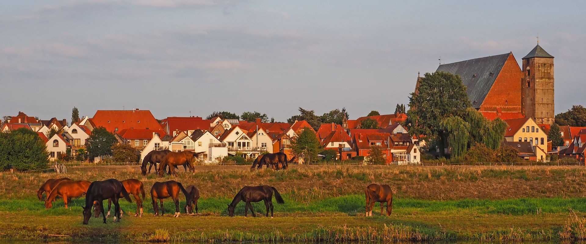 Verden