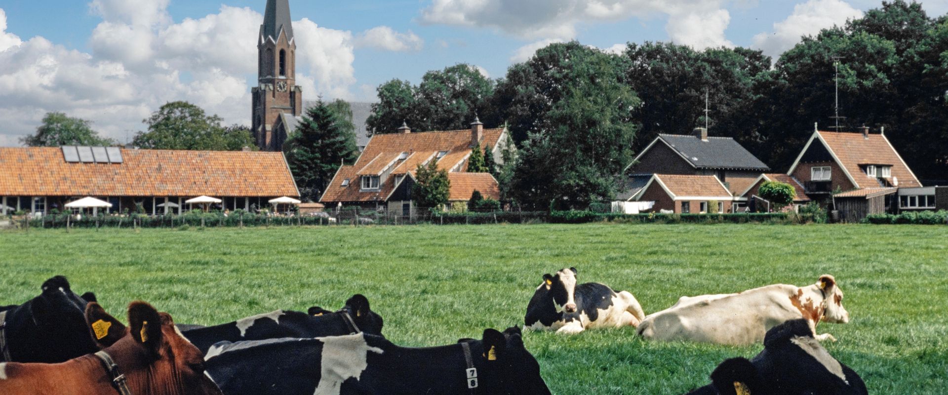 Ferienhaus Twente