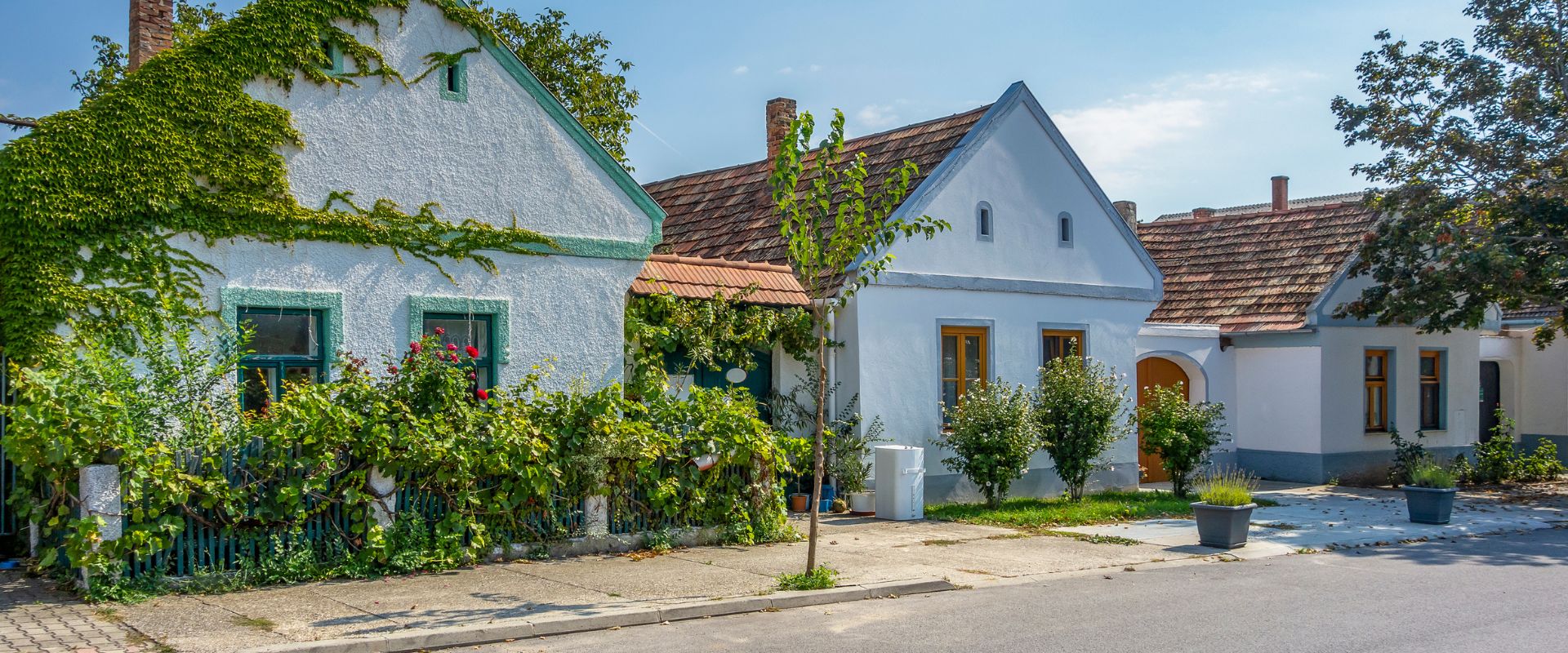 Purbach am Neusiedler See