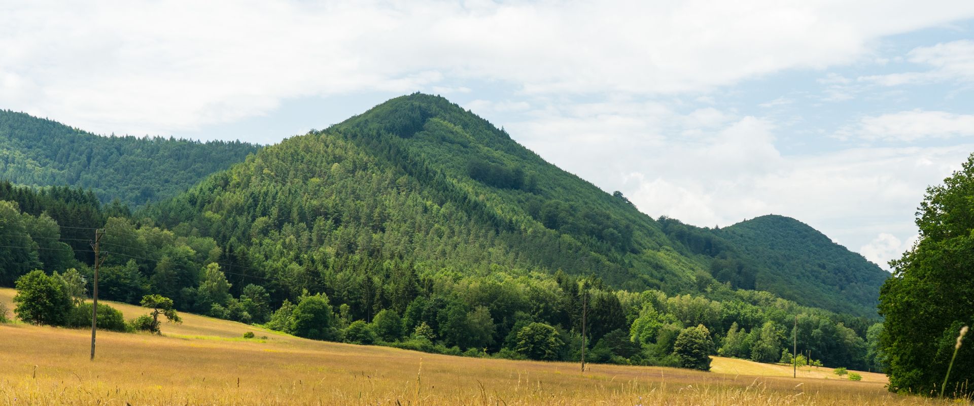 Fischbach