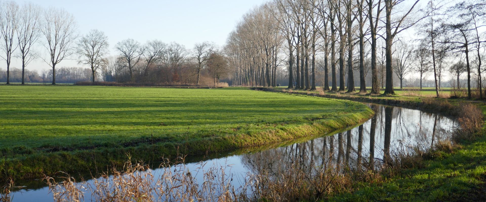 Ferienhaus Lievelde