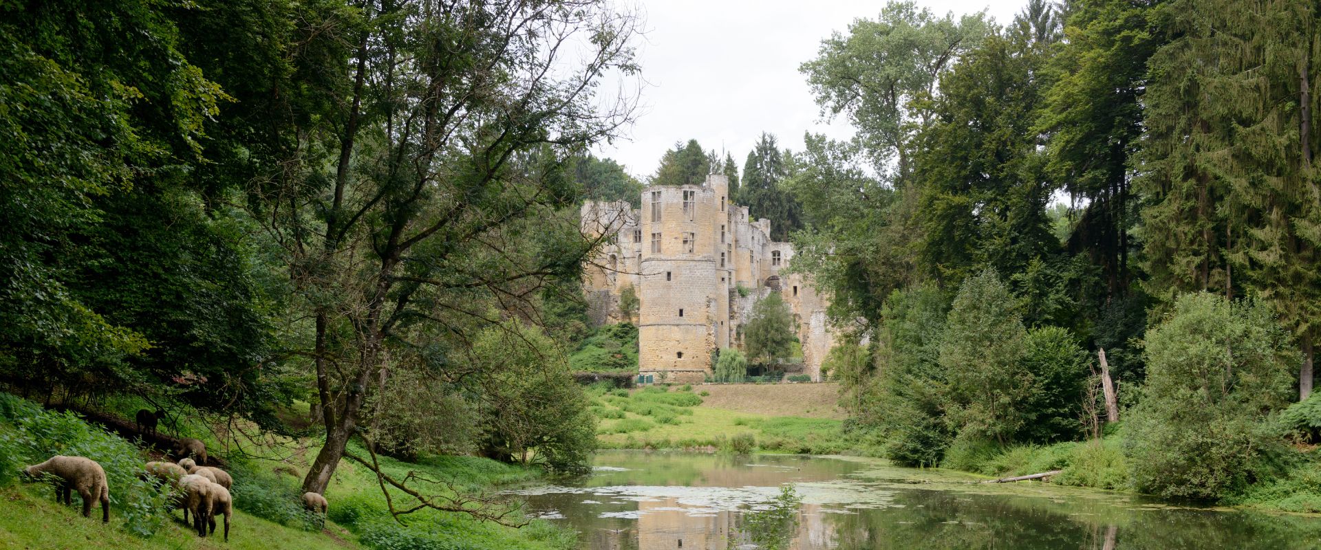 Beaufort