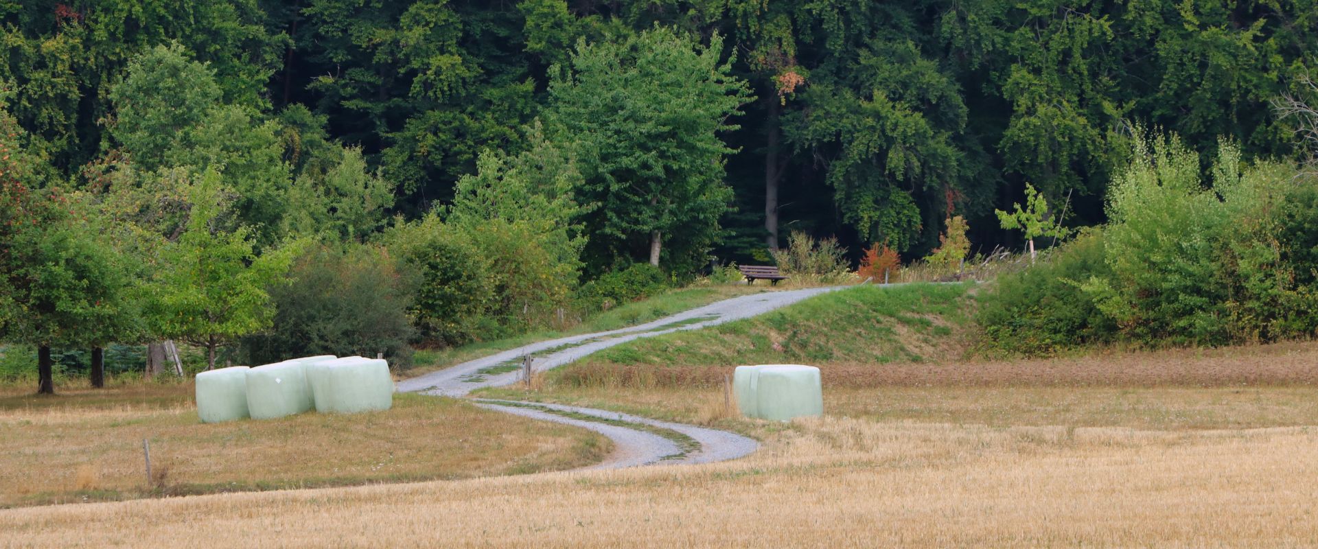 Märel