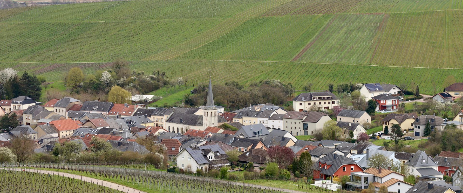 Wellenstein