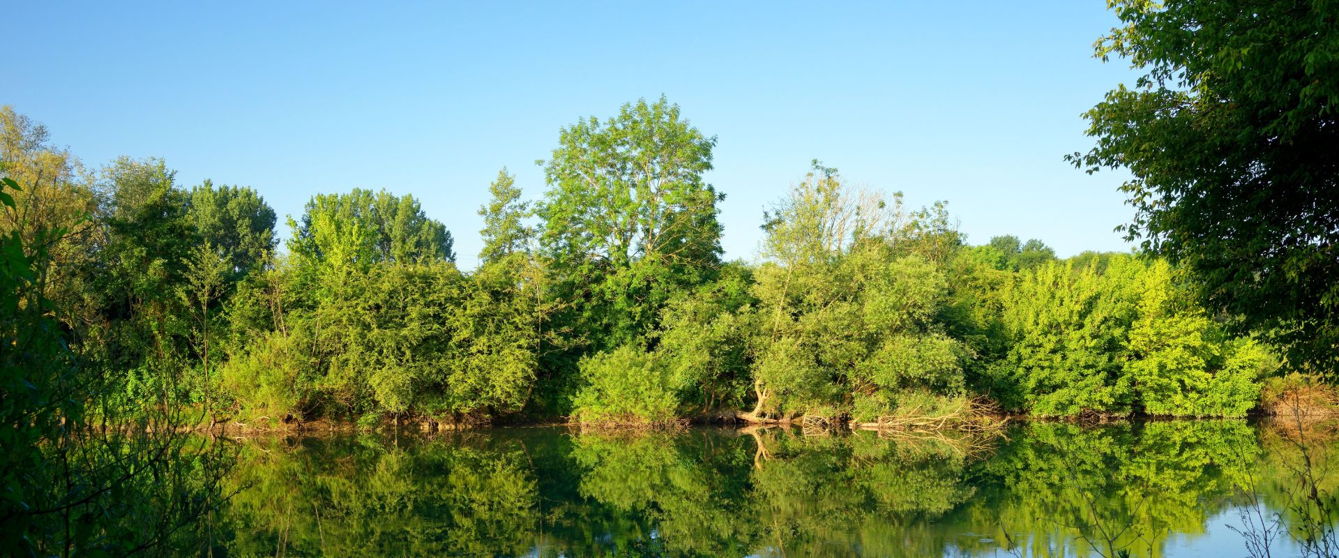 Marne