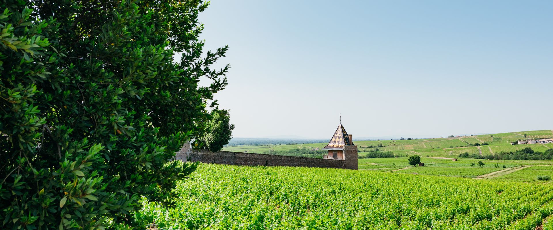 Saône-et-Loire