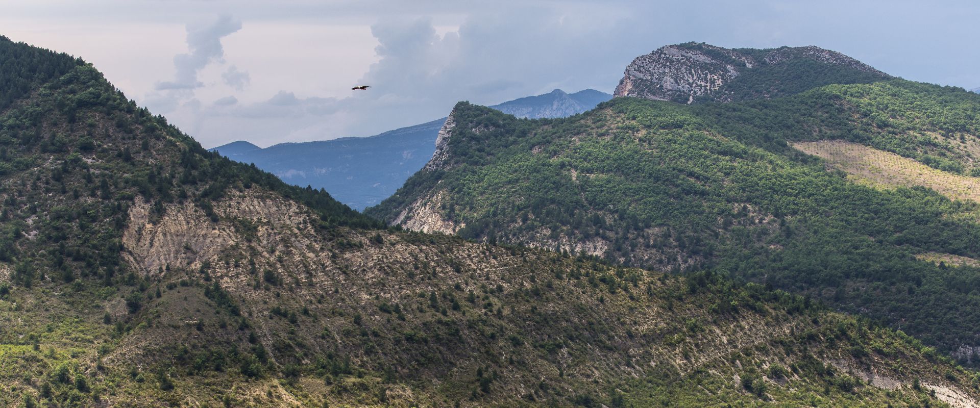 Drôme