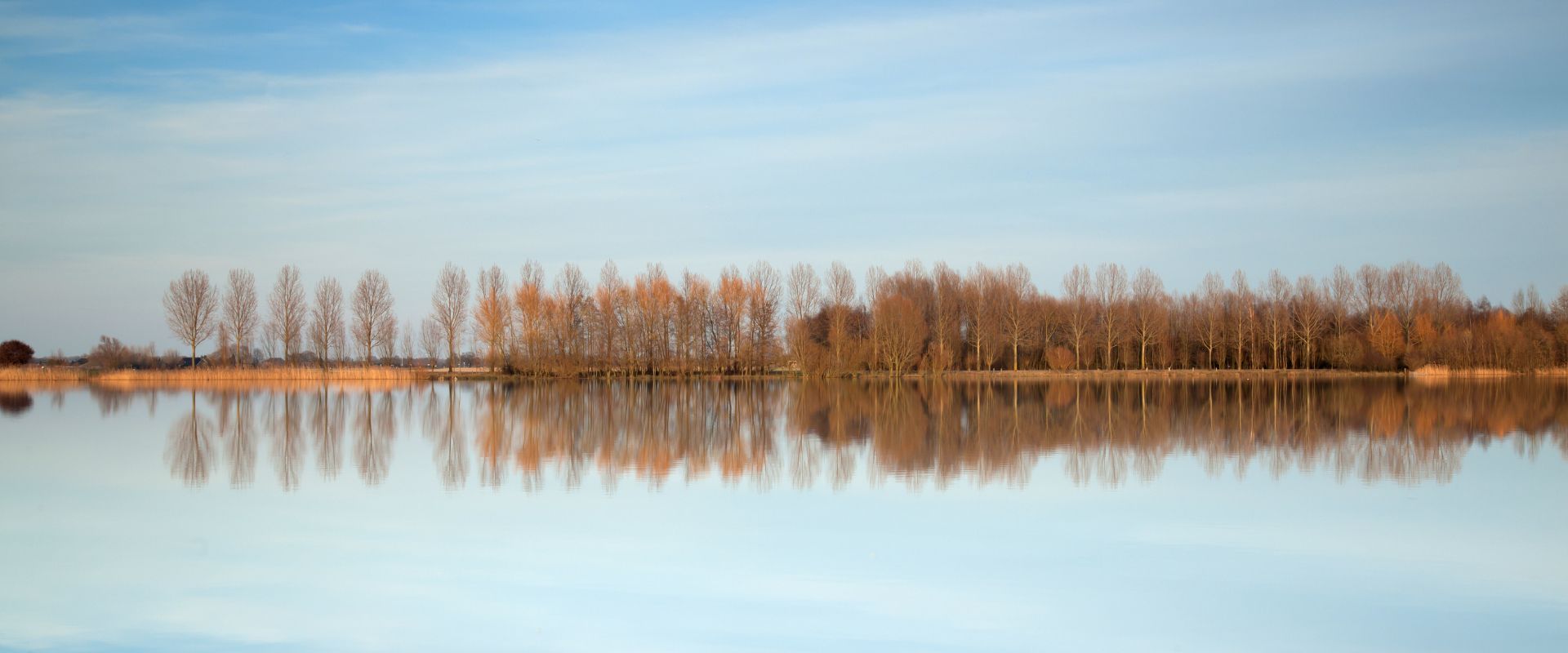 Azewijn