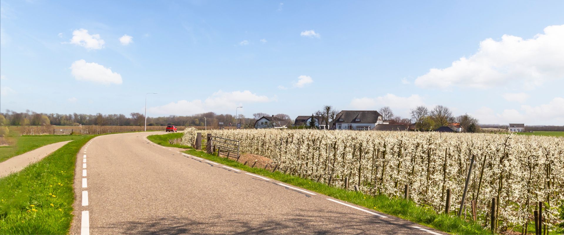 Buurmalsen