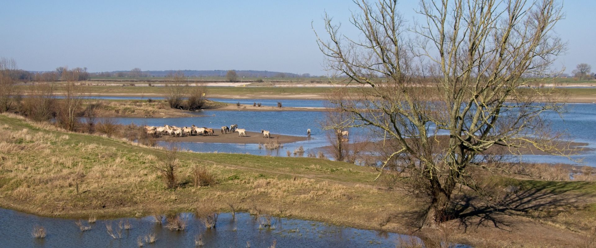 Druten