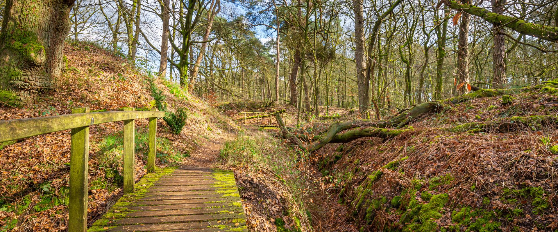 Heelsum
