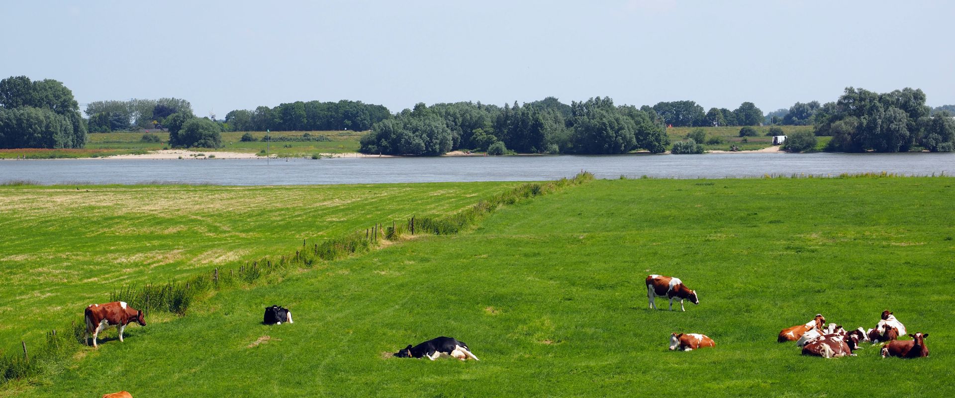 Heesselt