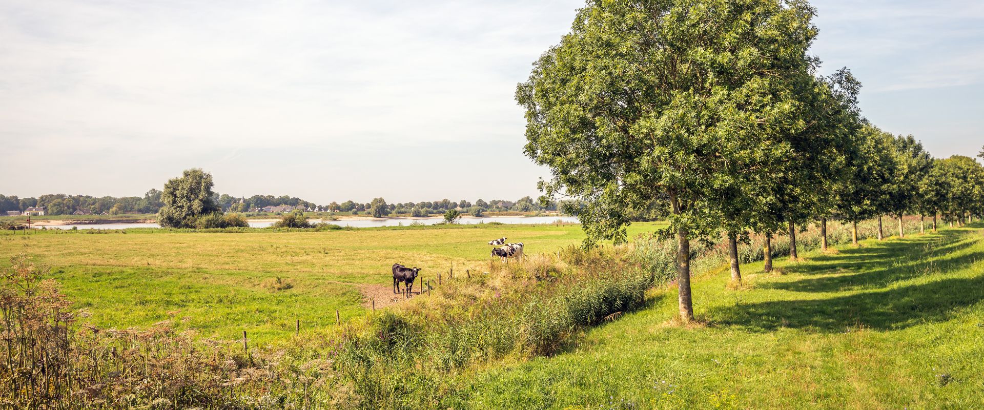 Herwijnen