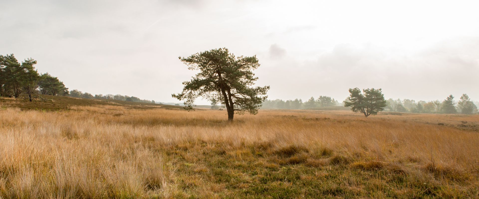 Hoog-Soeren