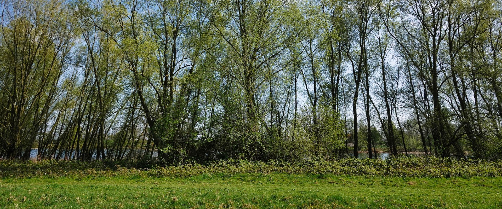 Kerkdriel
