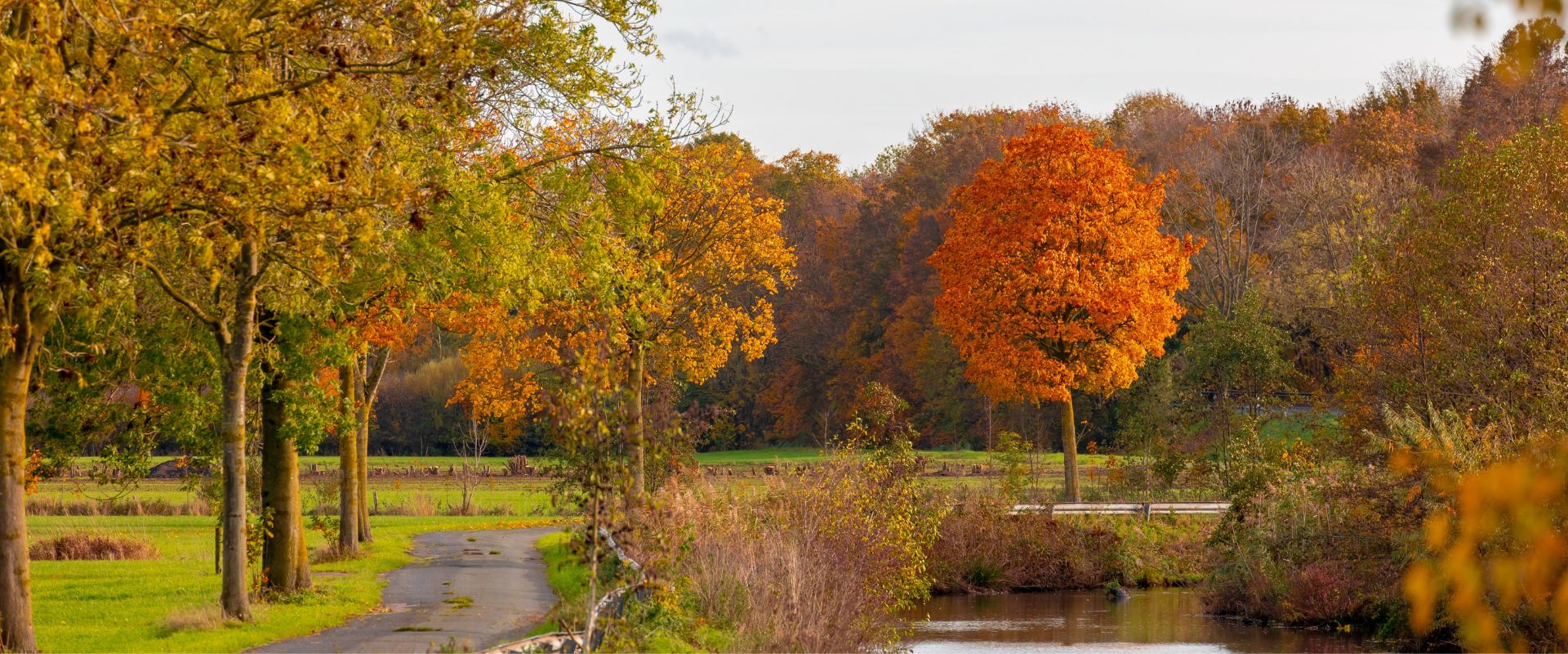 Kootwijkerbroek