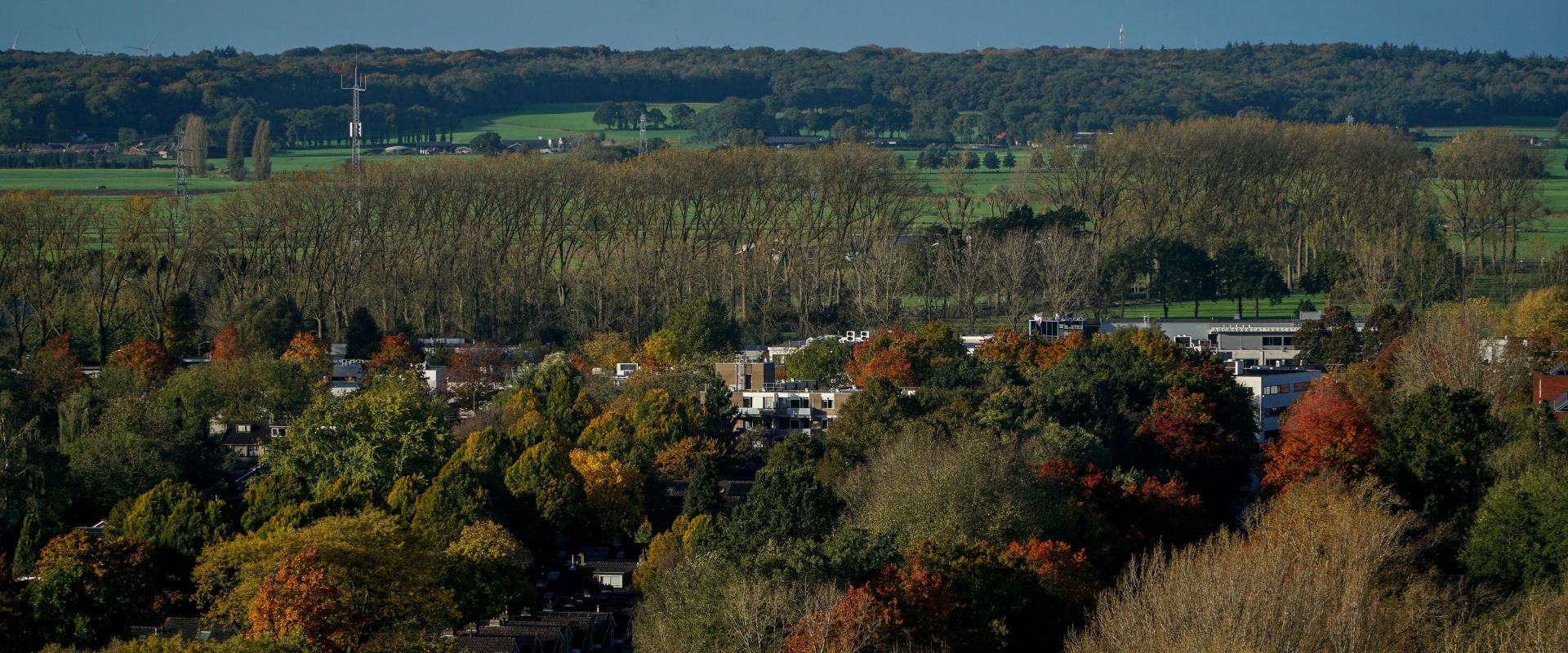 Laren