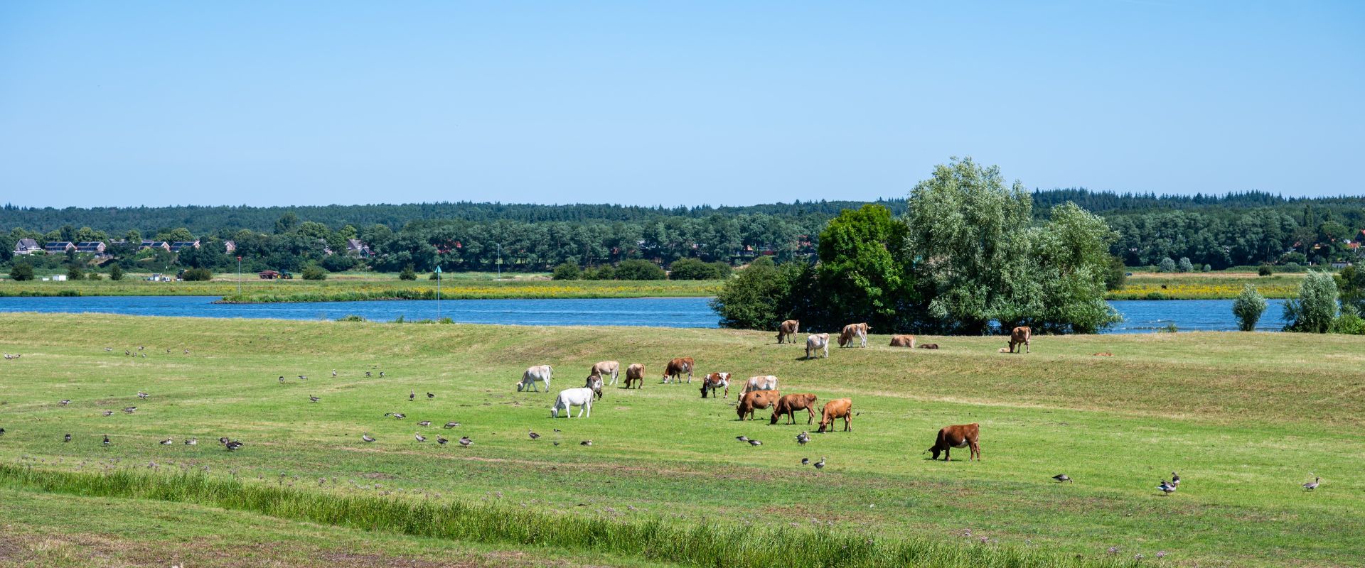 Lienden