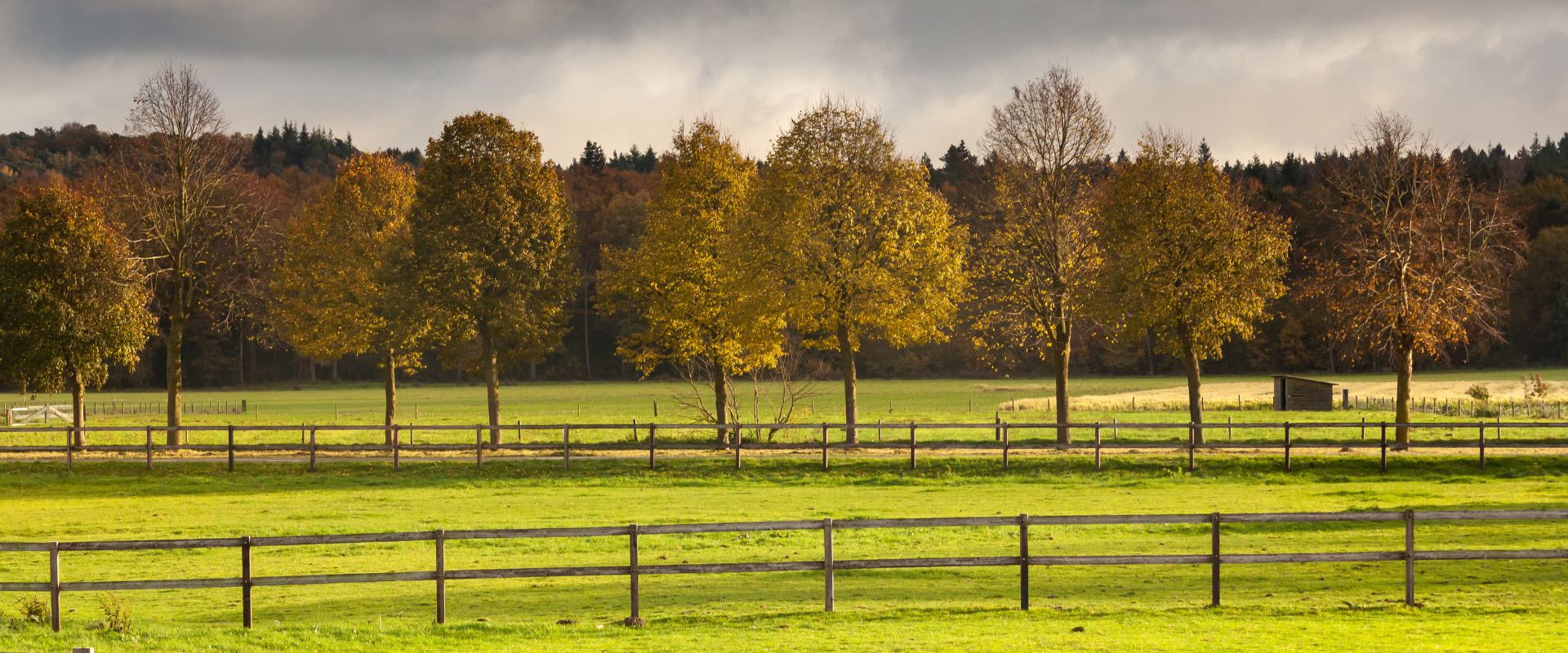 Loerbeek