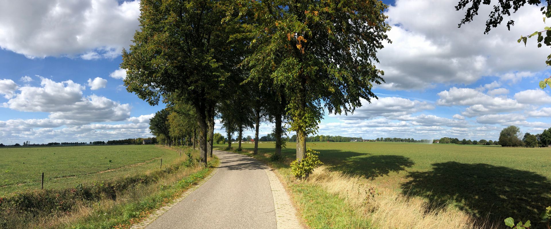 Megchelen